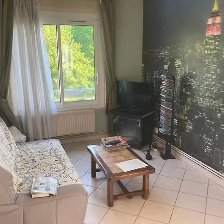 Appartement T2 Lumineux Chu Stade Gaston Gerard 2 Nuits Minimum Dijon Exterior foto