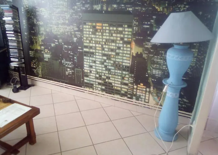 Appartement T2 Lumineux Chu Stade Gaston Gerard 2 Nuits Minimum