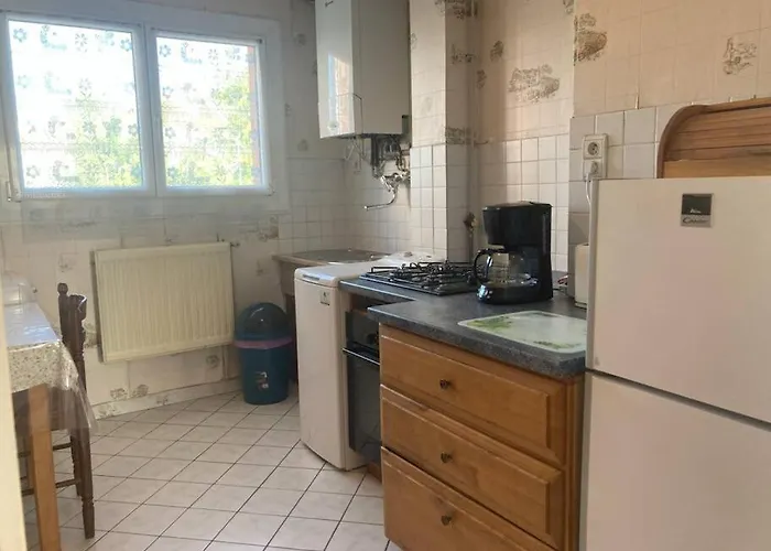 Appartement T2 Lumineux Chu Stade Gaston Gerard 2 Nuits Minimum