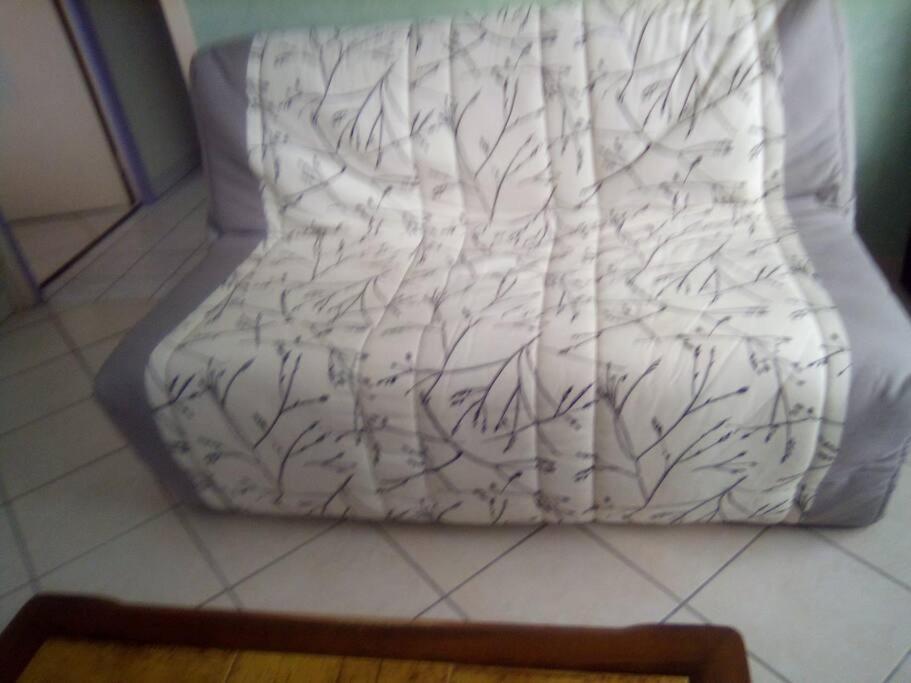Apartment T2 Lumineux Chu Stade Gaston Gerard 2 Nuits Minimum *